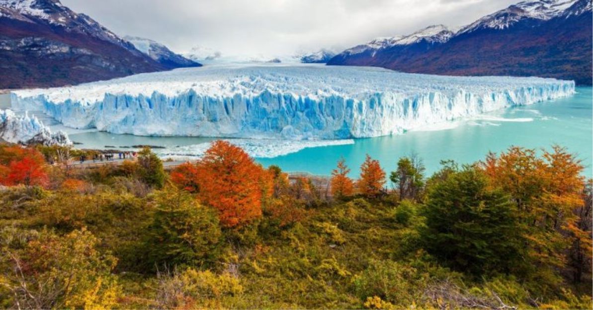 En Argentina, una Ley prohíbe proteger la naturaleza