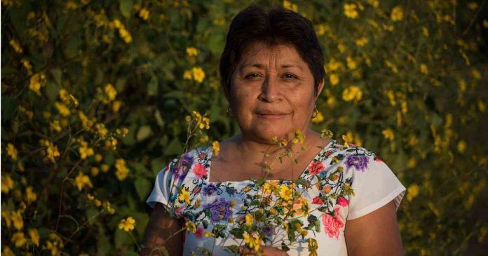 Indígena mexicana ganó premio internacional de medio ambiente