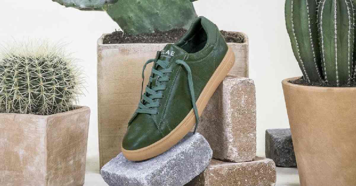 Mexicanos elaboran zapatos veganos de cuero ecológico