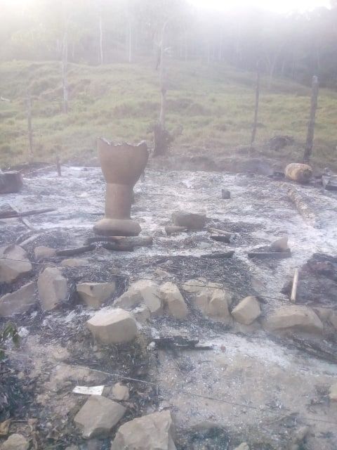 Imagen del artículo