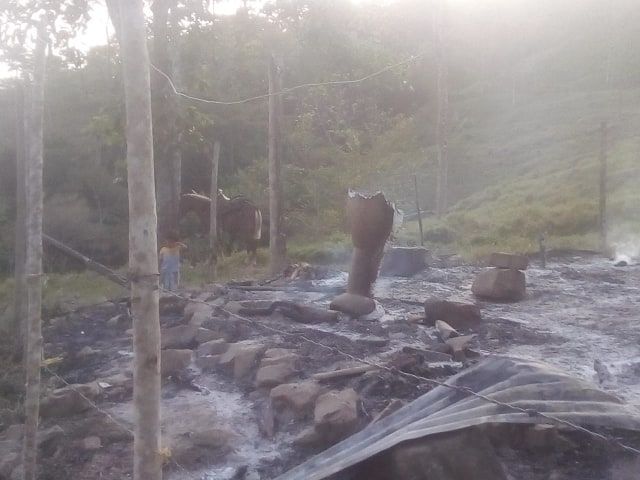 Imagen del artículo