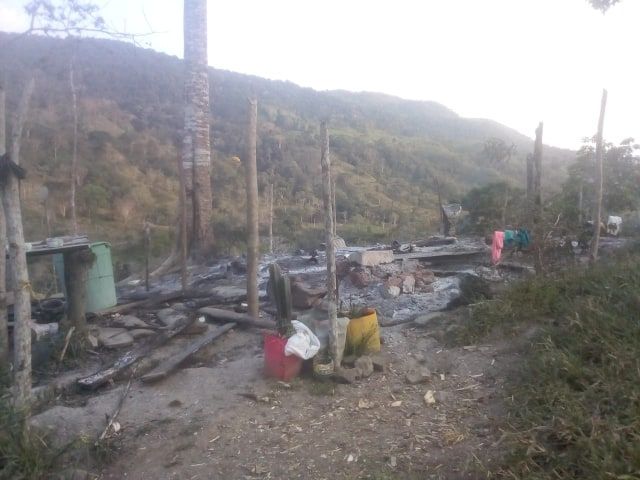 Imagen del artículo
