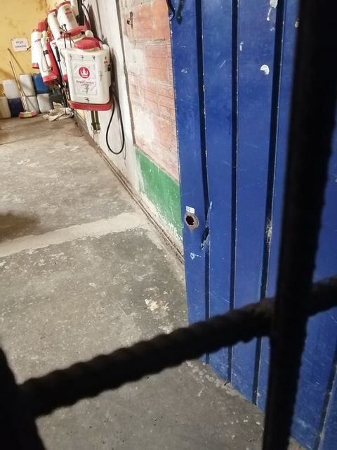 Imagen del artículo