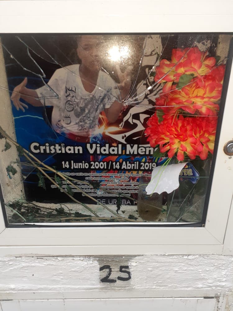 Imagen del artículo
