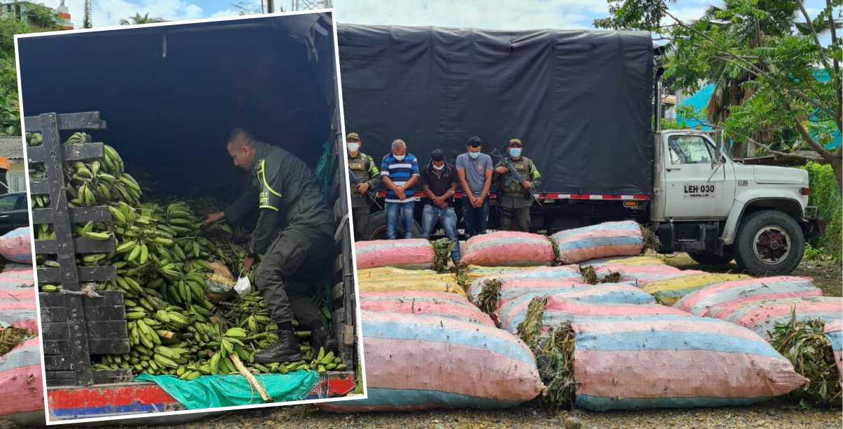 Llevaban tallos de coca escondida en una carga de plátano