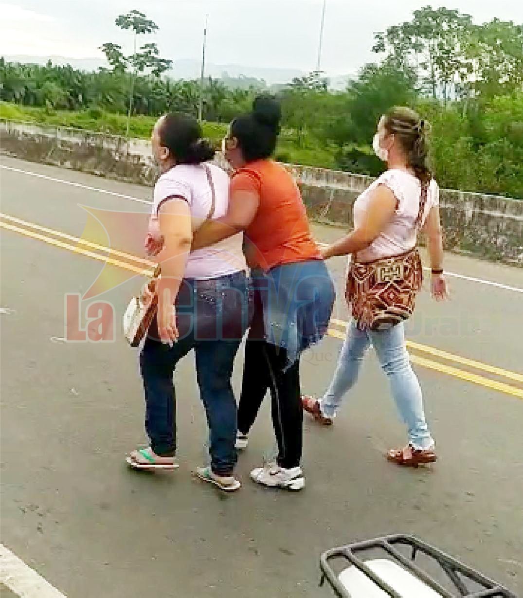 Imagen del artículo