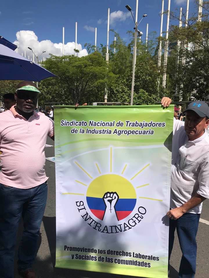 Imagen del artículo