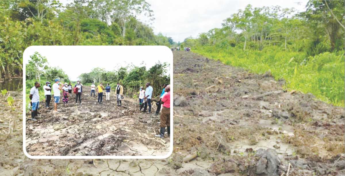 Por fin Carmen del Darién tendrá carretera
