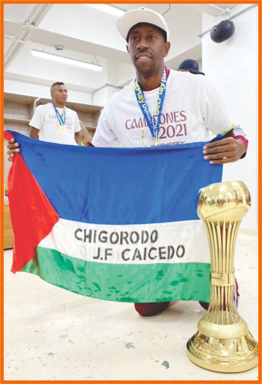 Imagen del artículo