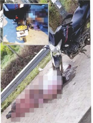 Imagen del artículo