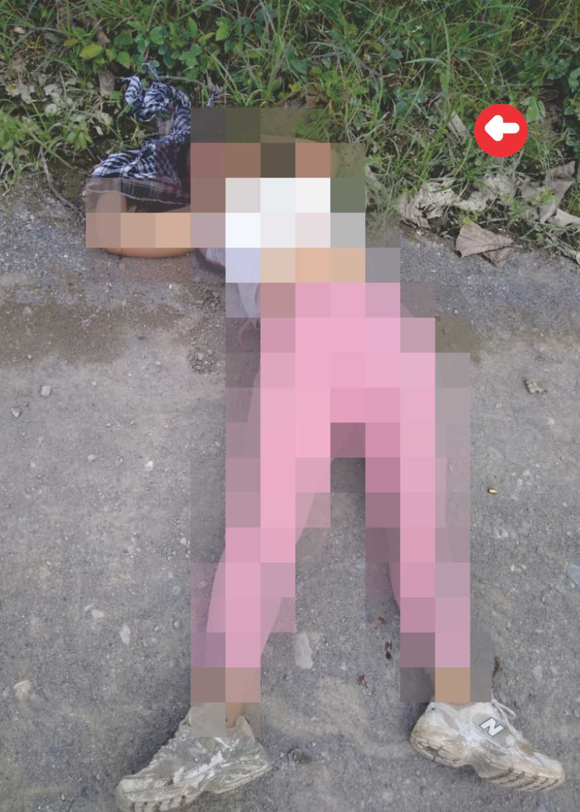 Imagen del artículo