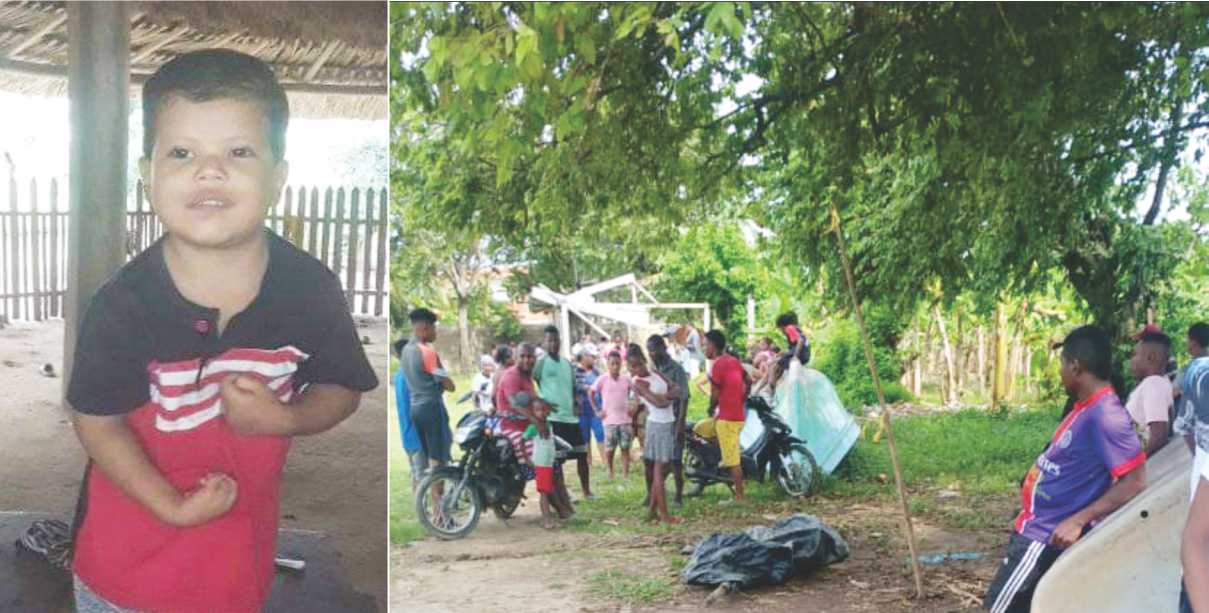 En su inocencia, niño de 3 años abrió la reja, salió de casa y cayó al río