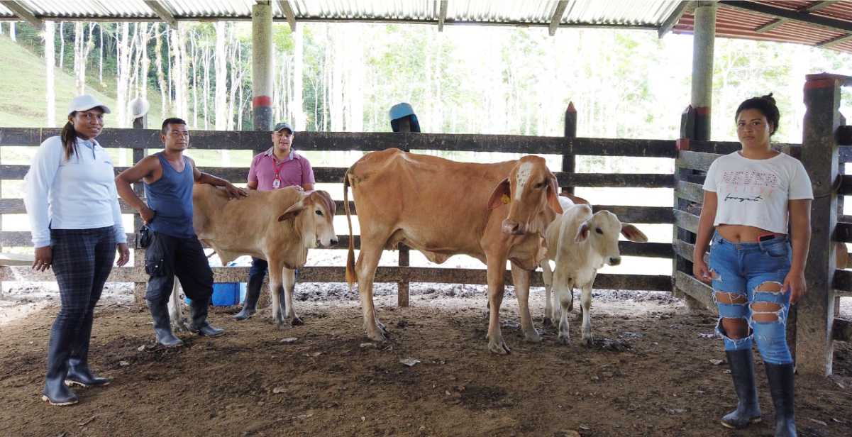 Excombatientes de las Farc fortalecen proyectos productivos