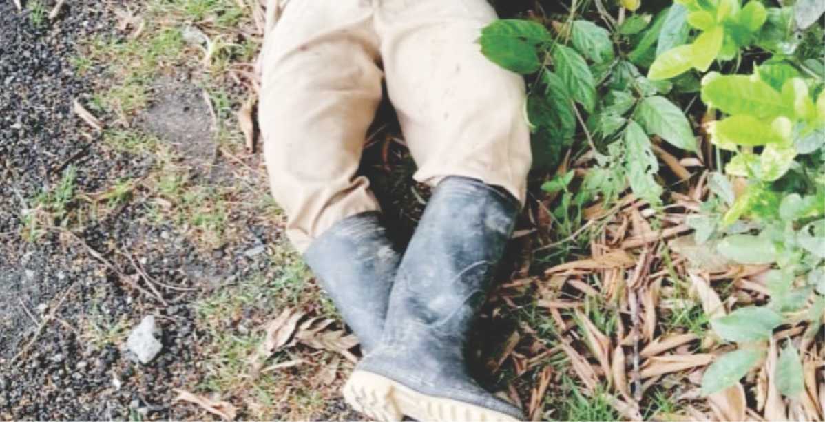 Anciano estaba en su finca cuando le quitaron la vida
