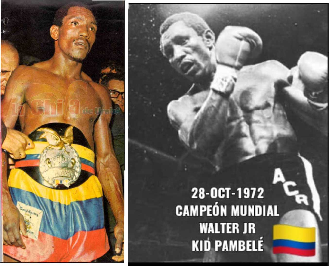 Imagen del artículo