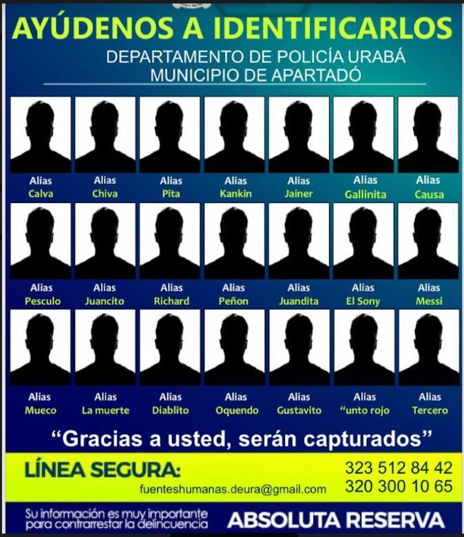 Imagen del artículo