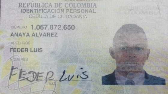 Imagen del artículo