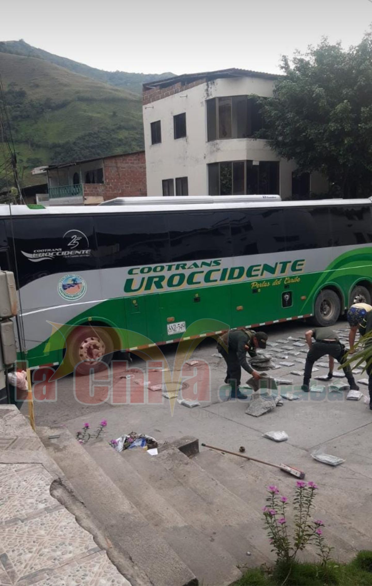 Imagen del artículo
