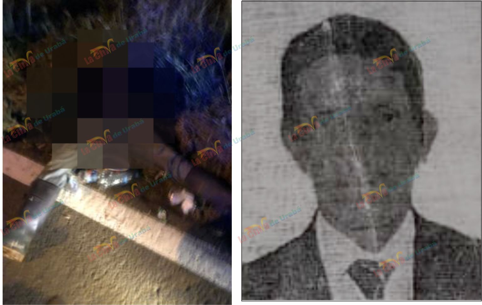 Imagen del artículo