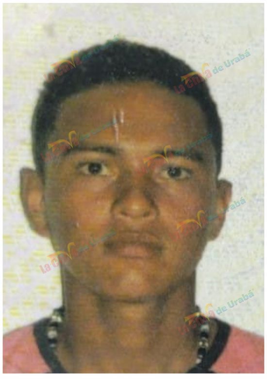 Imagen del artículo