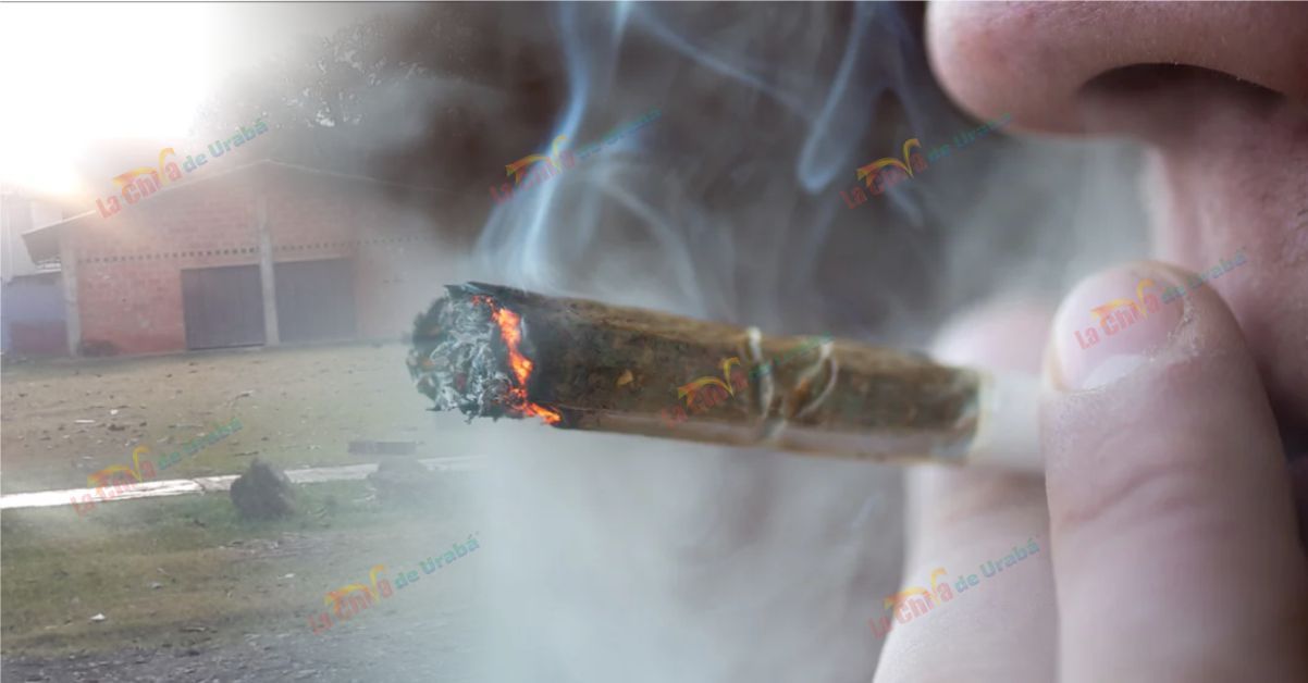 Trabados como los pajaritos “No aguantamos el olor a marihuana”