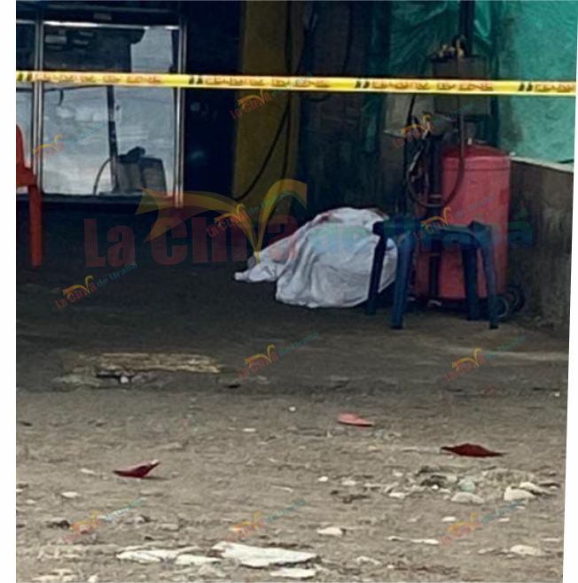 Imagen del artículo