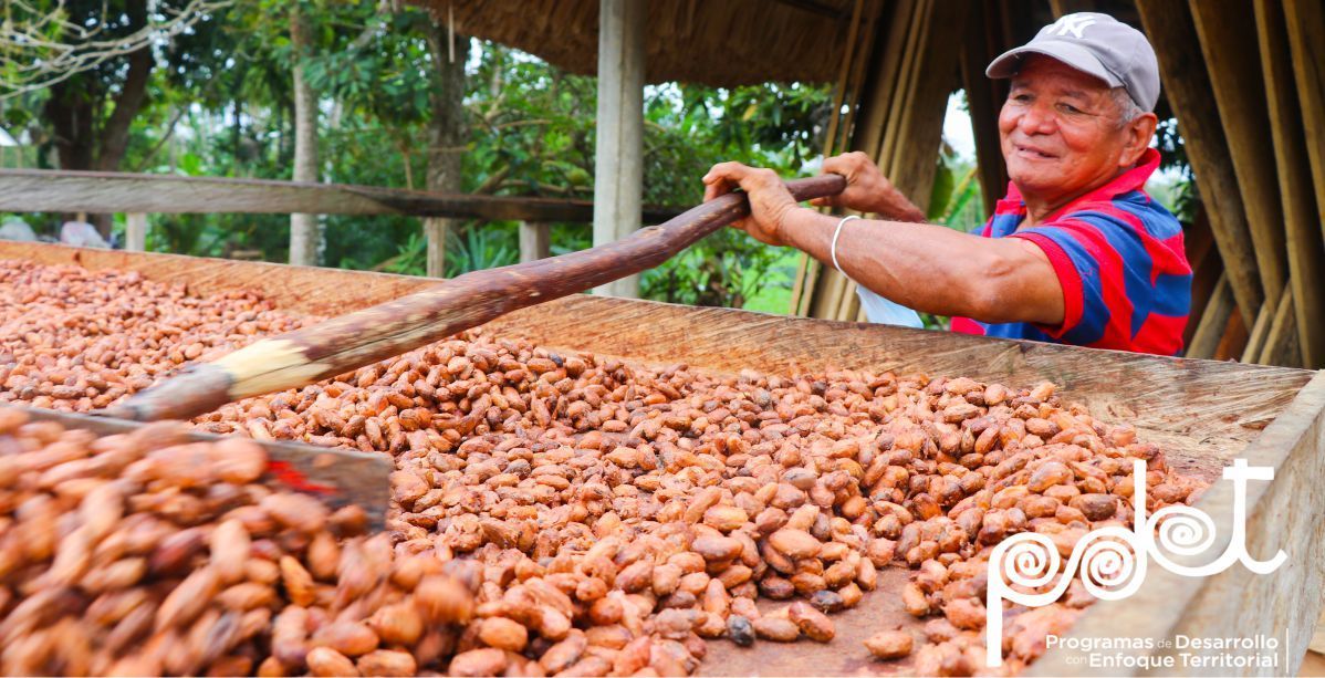 Con fomento de oportunidades de empleo y emprendimiento rural, Mintrabajo ‘se la juega’ por los PDET