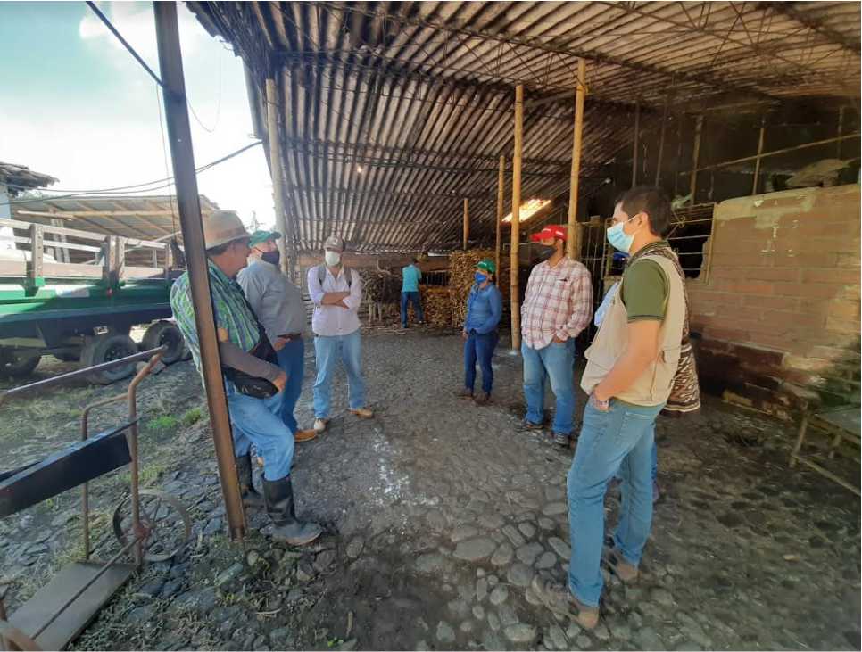 Imagen del artículo