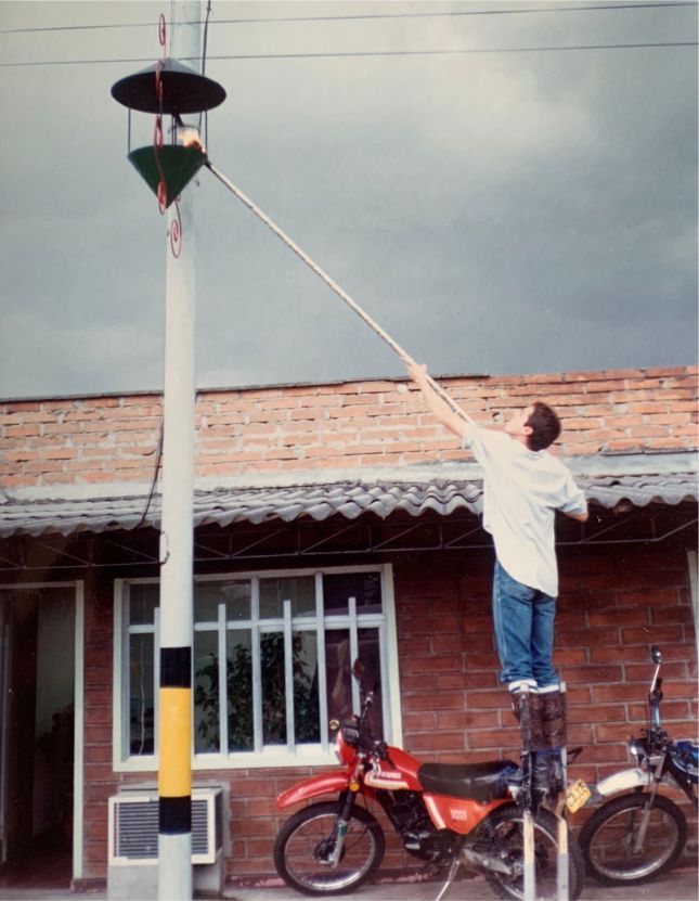 Imagen del artículo