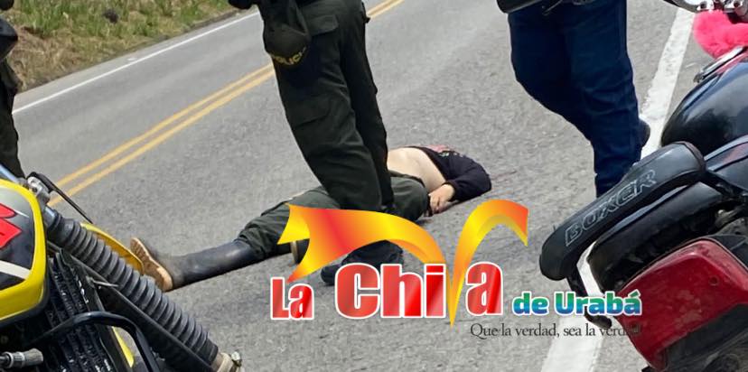 Imagen del artículo