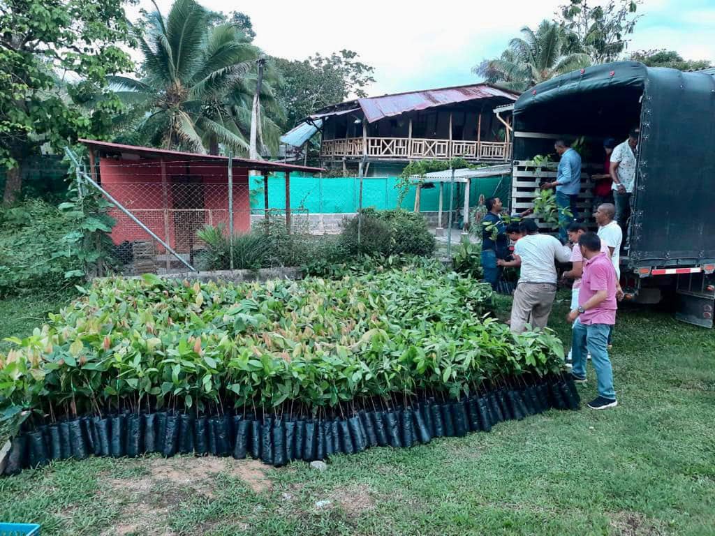 Comenzaron a entregar plántulas e insumos para 900 familias campesinas