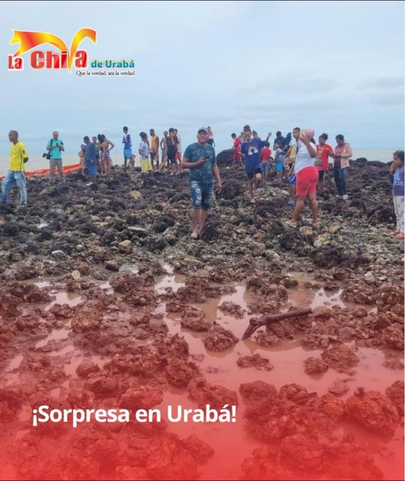 “Como aparece, desaparece”, la isla de la fantasía en Damaquiel