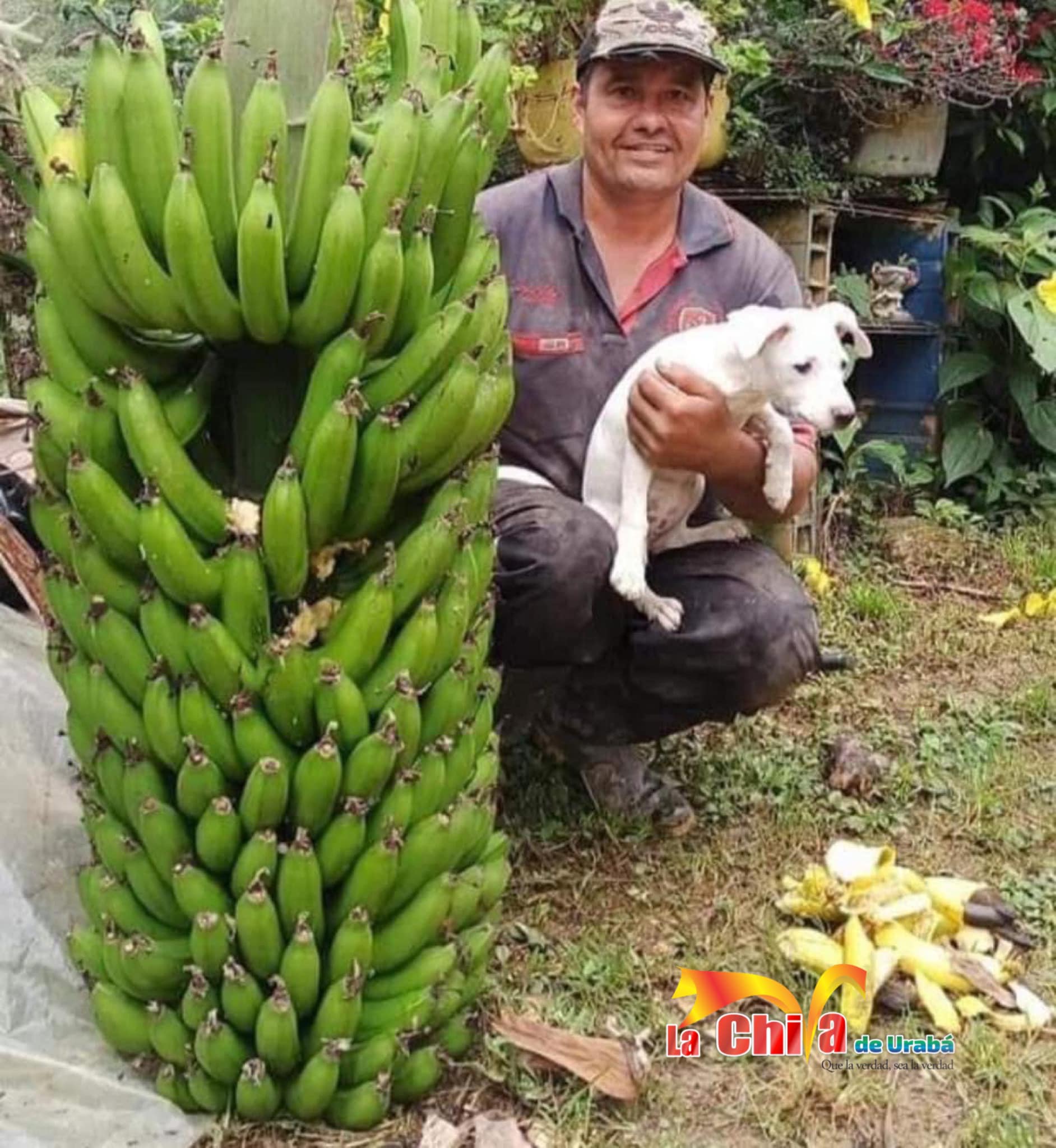 Urabá, despensa alimenticia para el mundo
