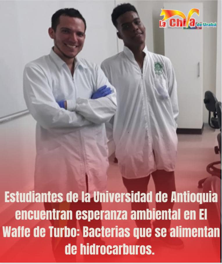 ¡Bacterias que se alimentan de hidrocarburos en el Waffe de  Turbo!