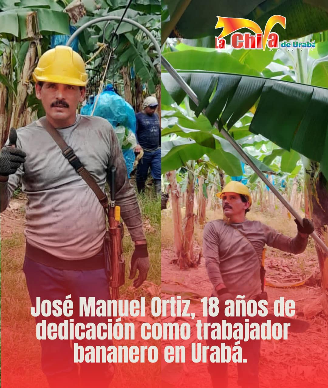 José Manuel Ortiz,  el obrero bananero que imita a Rafael Orozco  quiere ser Concejal