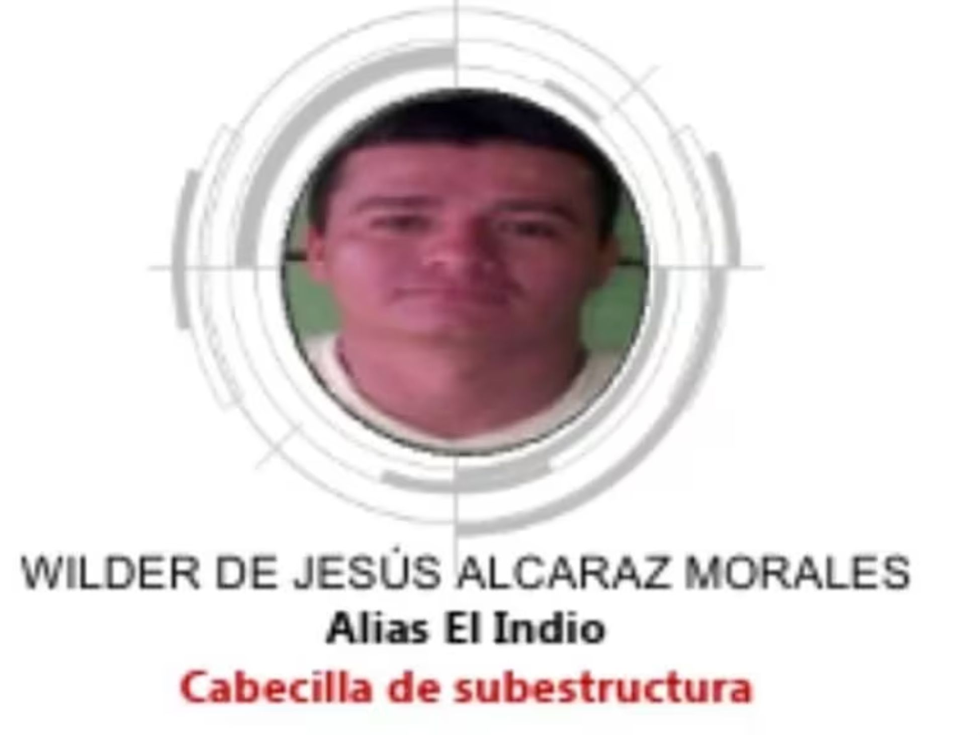 Imagen del artículo