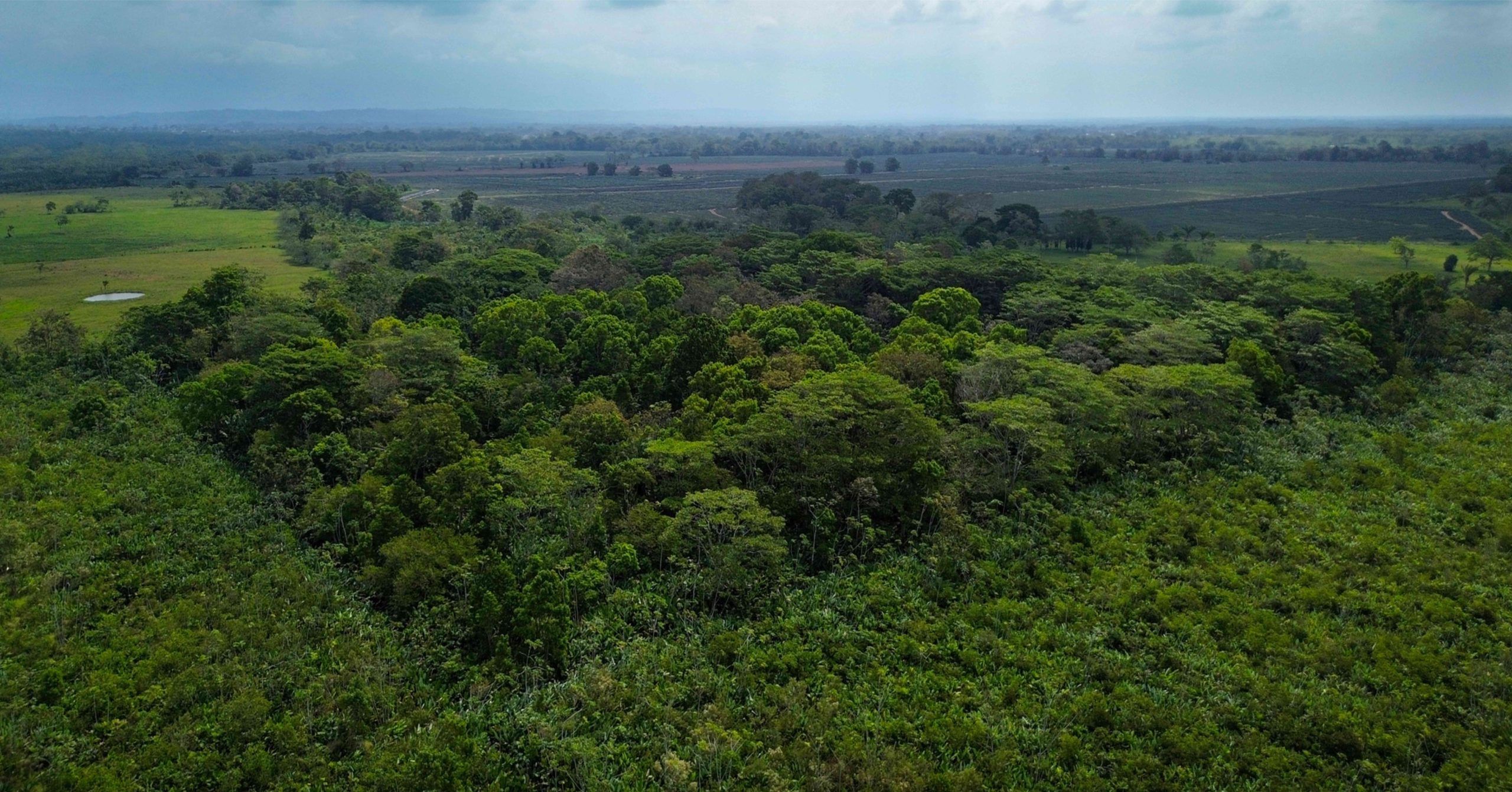 Greenland diversifica su negocio en Colombia con nuevos productos agrícolas, servicios logísticos e innovación