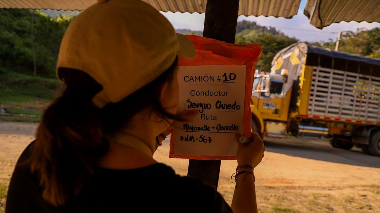 Imagen del artículo