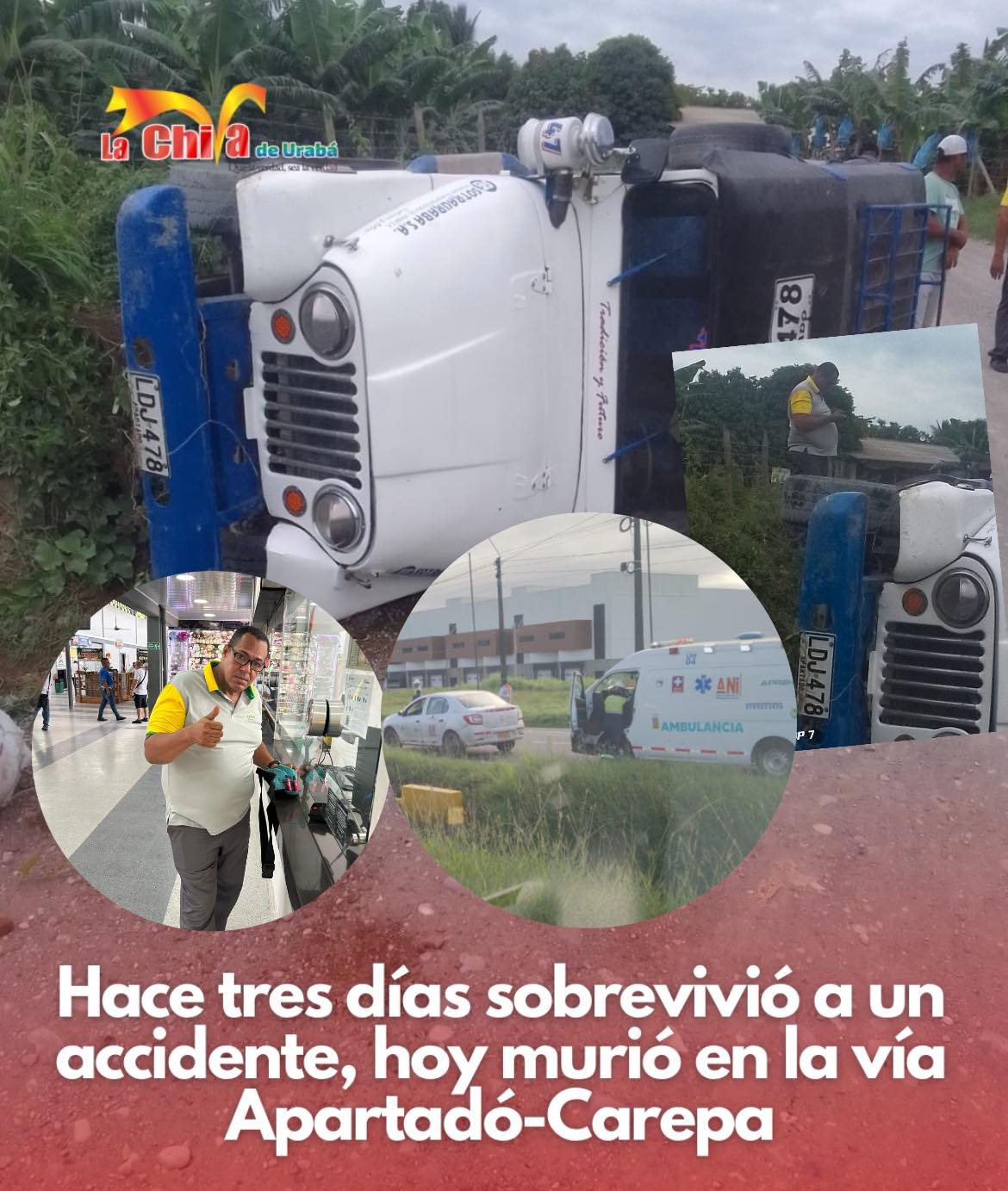 Imagen del artículo