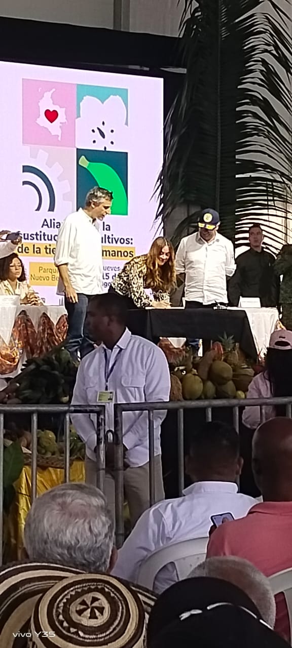 Imagen del artículo