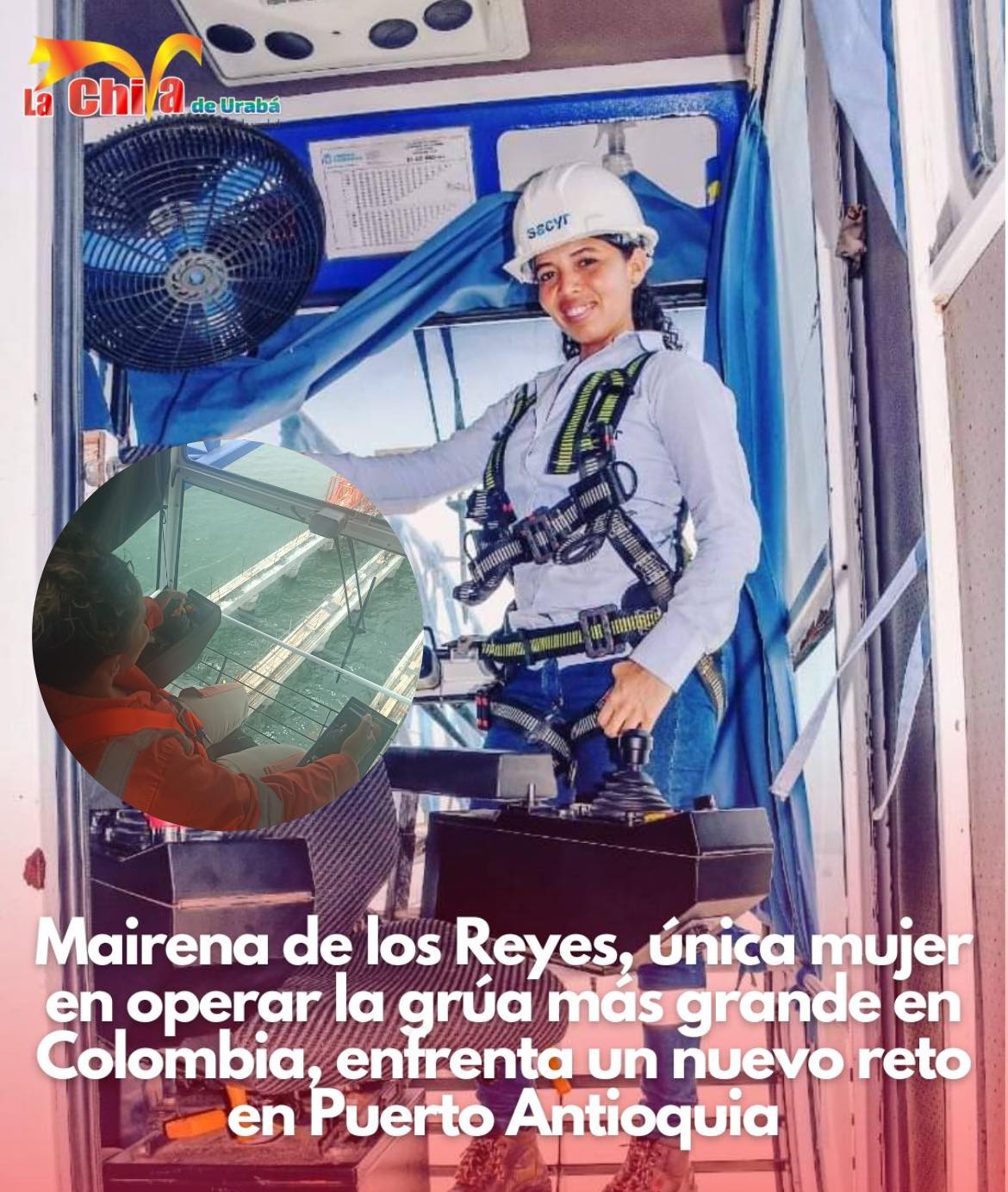 Imagen del artículo