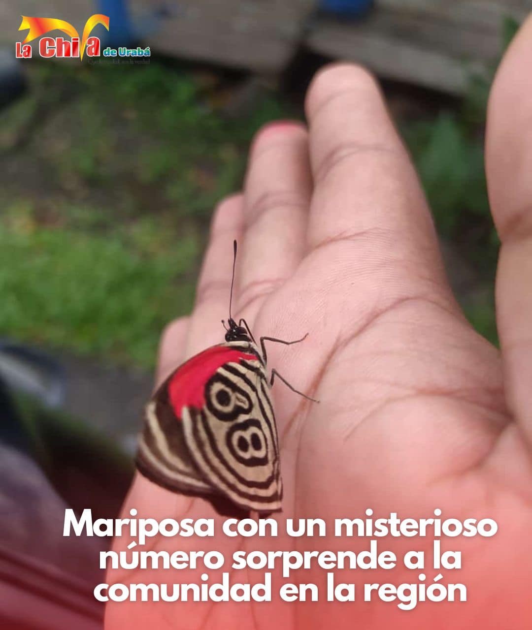 Imagen del artículo