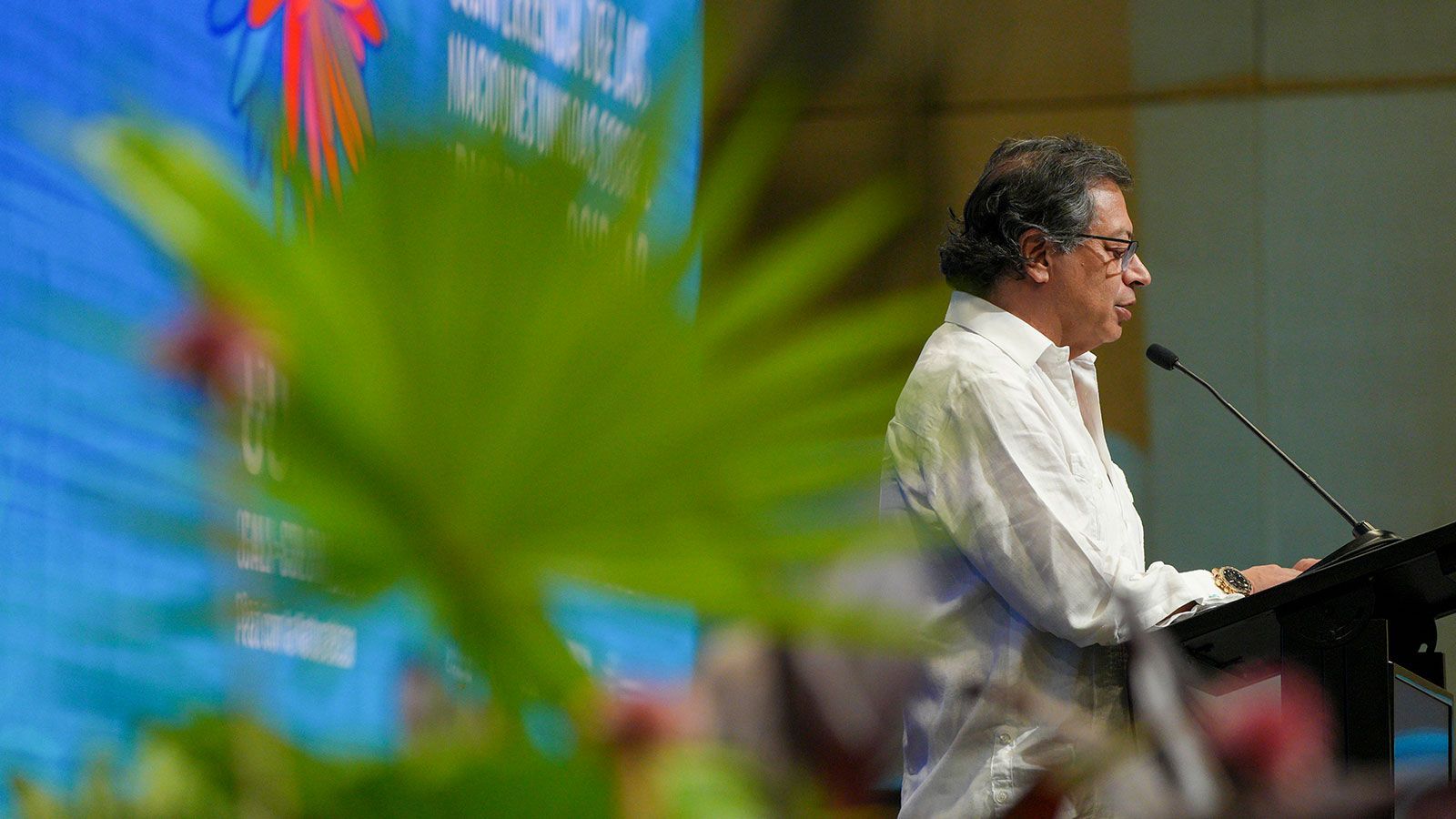 Imagen del artículo