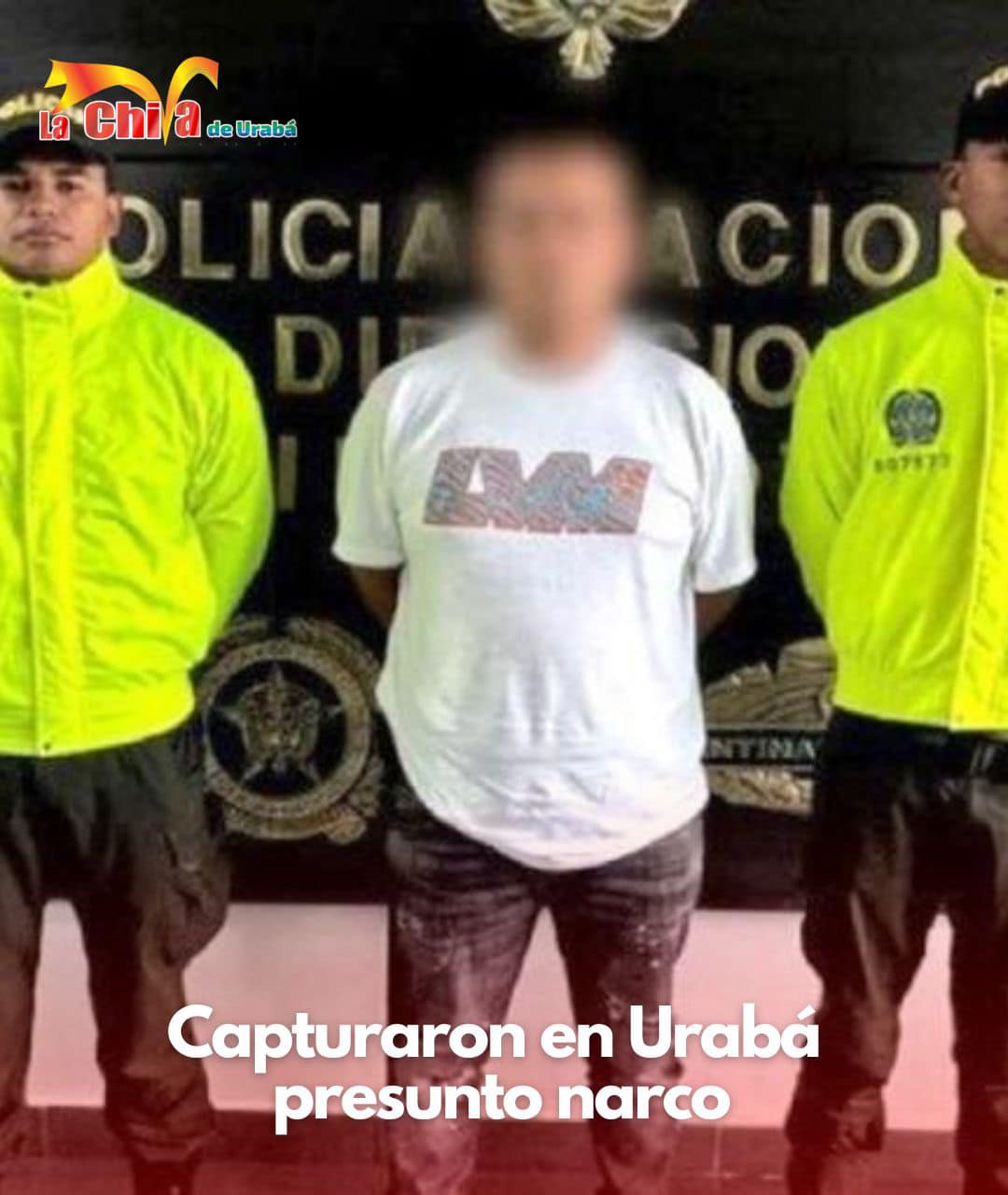 Imagen del artículo