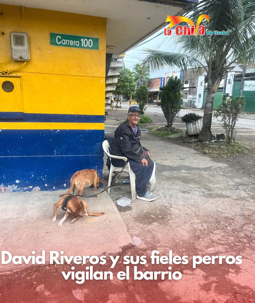 Imagen del artículo