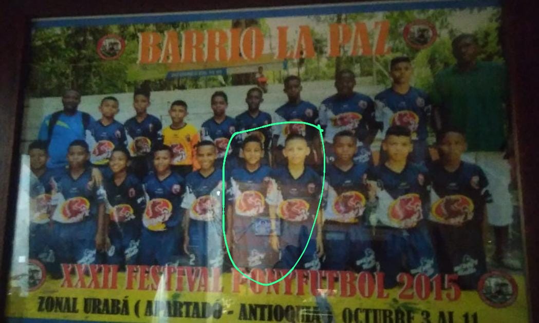 Imagen del artículo