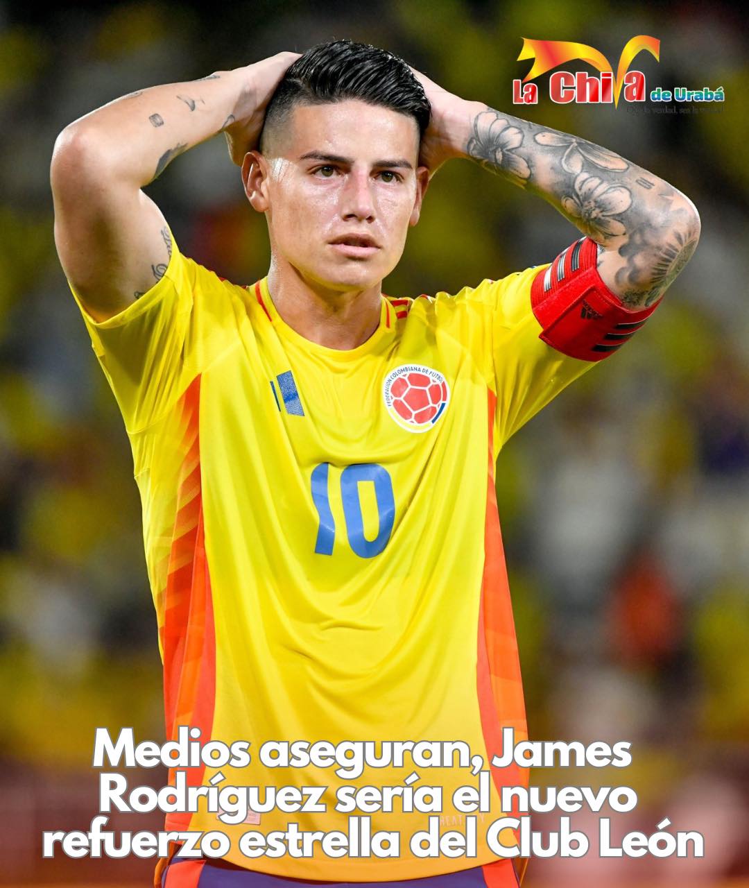 Imagen del artículo