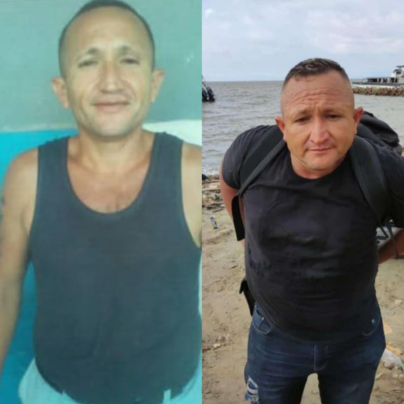 Imagen del artículo
