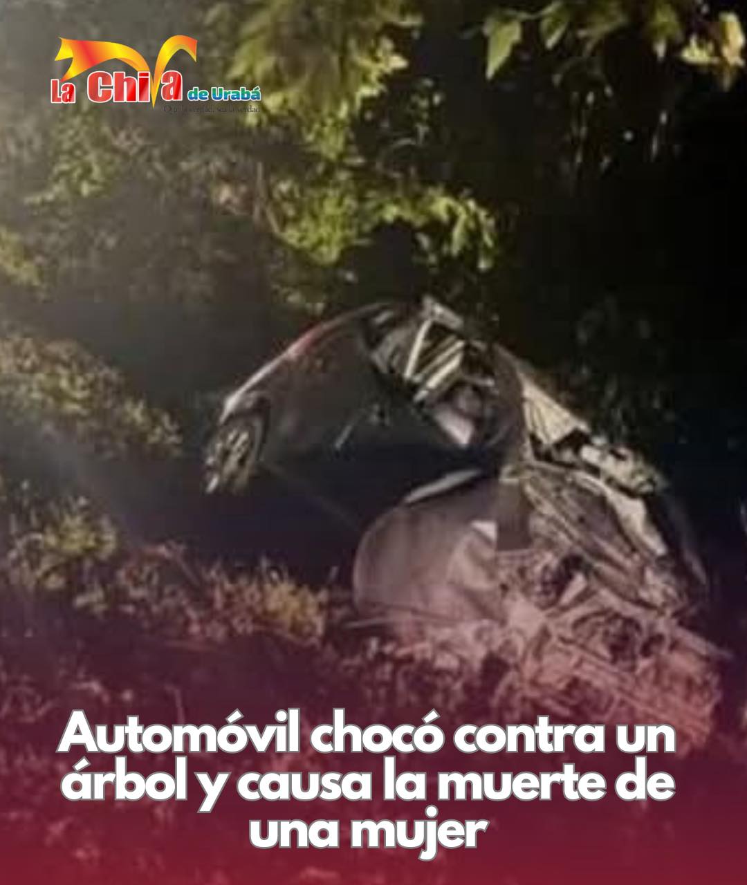 Imagen del artículo