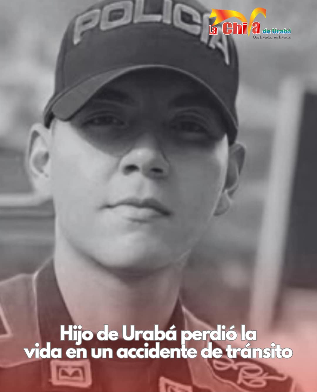 Imagen del artículo